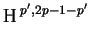 $\displaystyle \HH^{p',2p-1-p'}_{}$