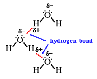 How do hydrogen bonds form?