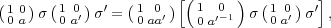                        [(     )         ]
(1 0)σ (1 0′)σ′ = (1 0′)  1 ′0-1  σ(1 0′) σ′ ,
 0 a    0 a       0 aa   0 a      0 a
