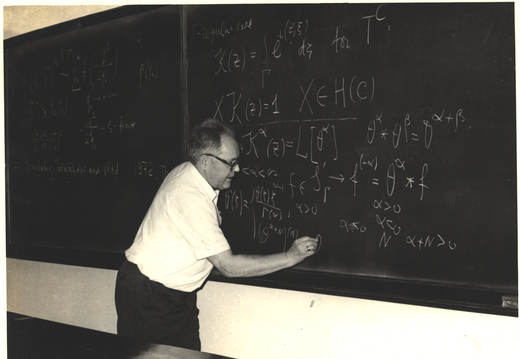 Prof.  V S Vladimiror giving a talk during his visit on 28 January 1983