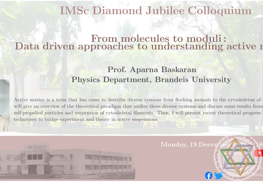 Prof. Aparna Baskaran giving a lecture on "From molecules to moduli: Data driven approaches to understanding active materials" during IMSc Diamond Jubilee Colloquium Series, December 19, 2022