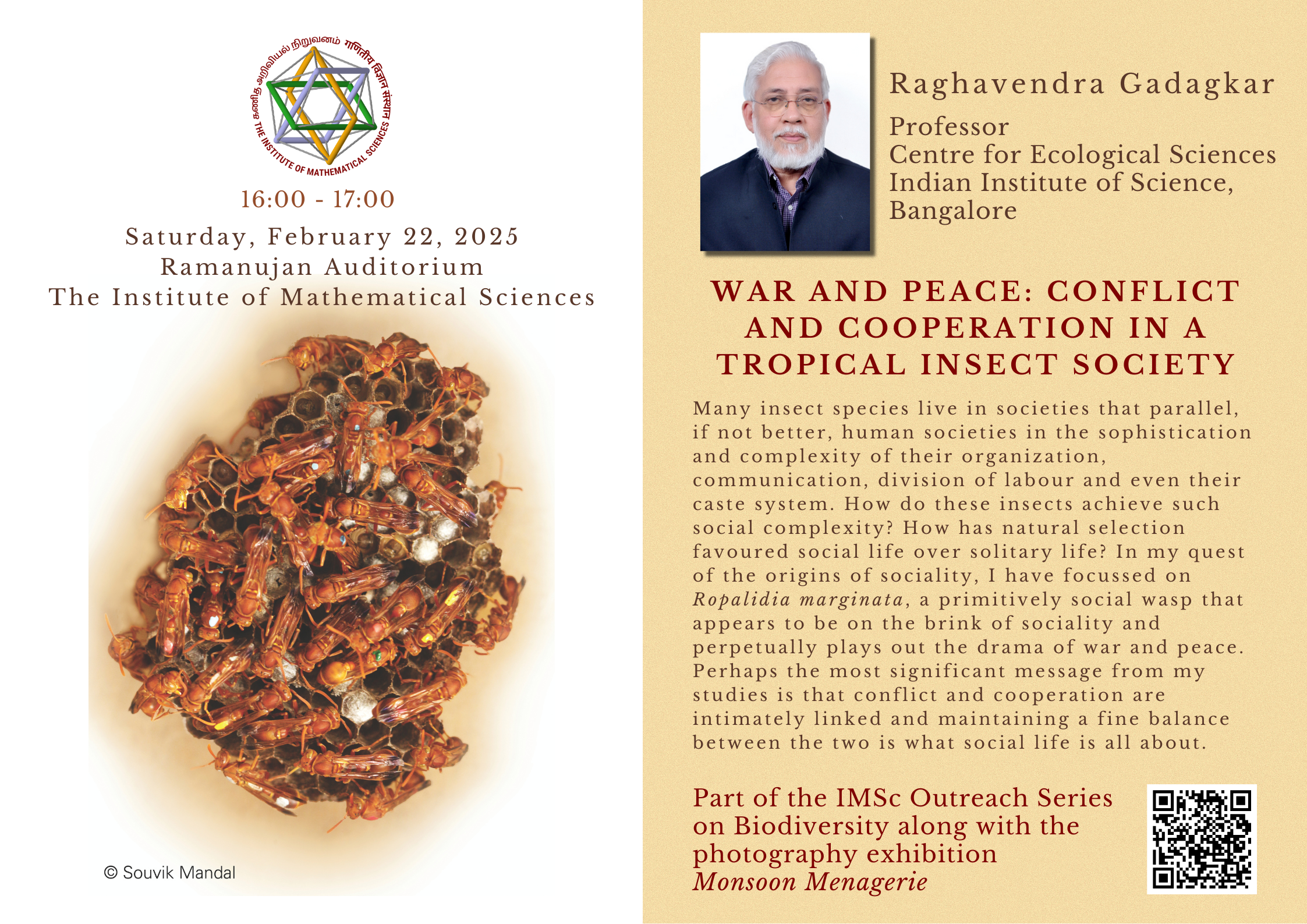 War and Peace: Conflict and Cooperation in a Tropical Insect Society