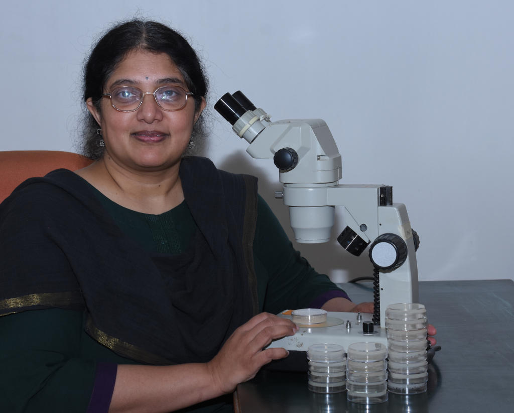 Sandhya Koushika