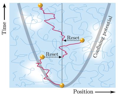 New research explains how particles move in complex fluids under intermittent dynamics