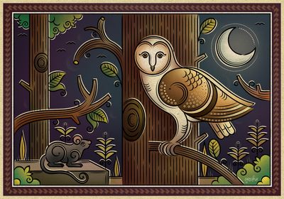 In the dark night, the barn owl prevails