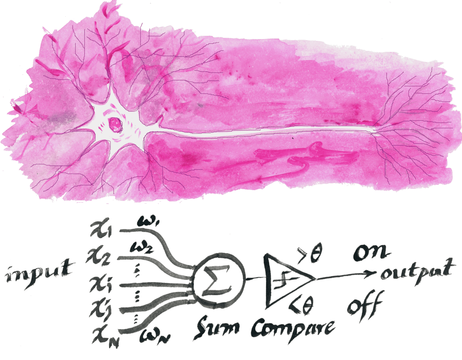 From magnets to the mind: How Hopfield and Hinton bridged physics to AI