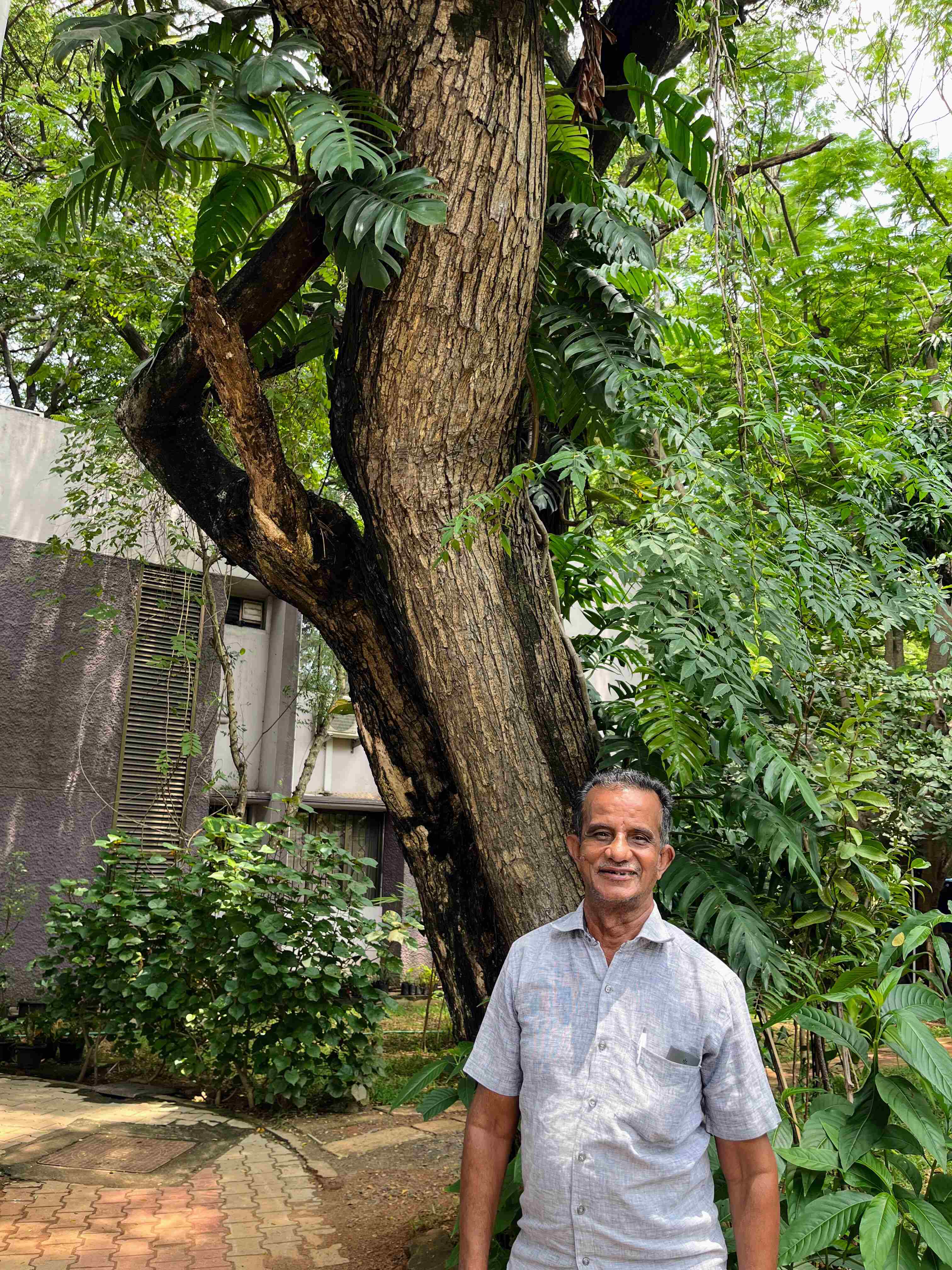 An inordinate fondness for plants
