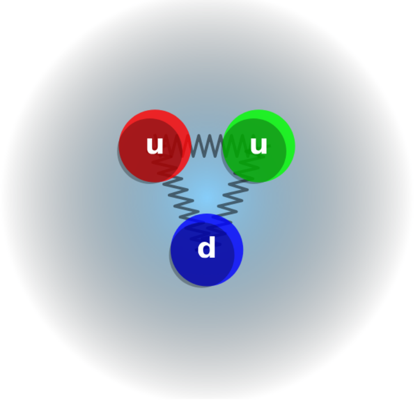 Anatomy of a proton and its exotic cousins