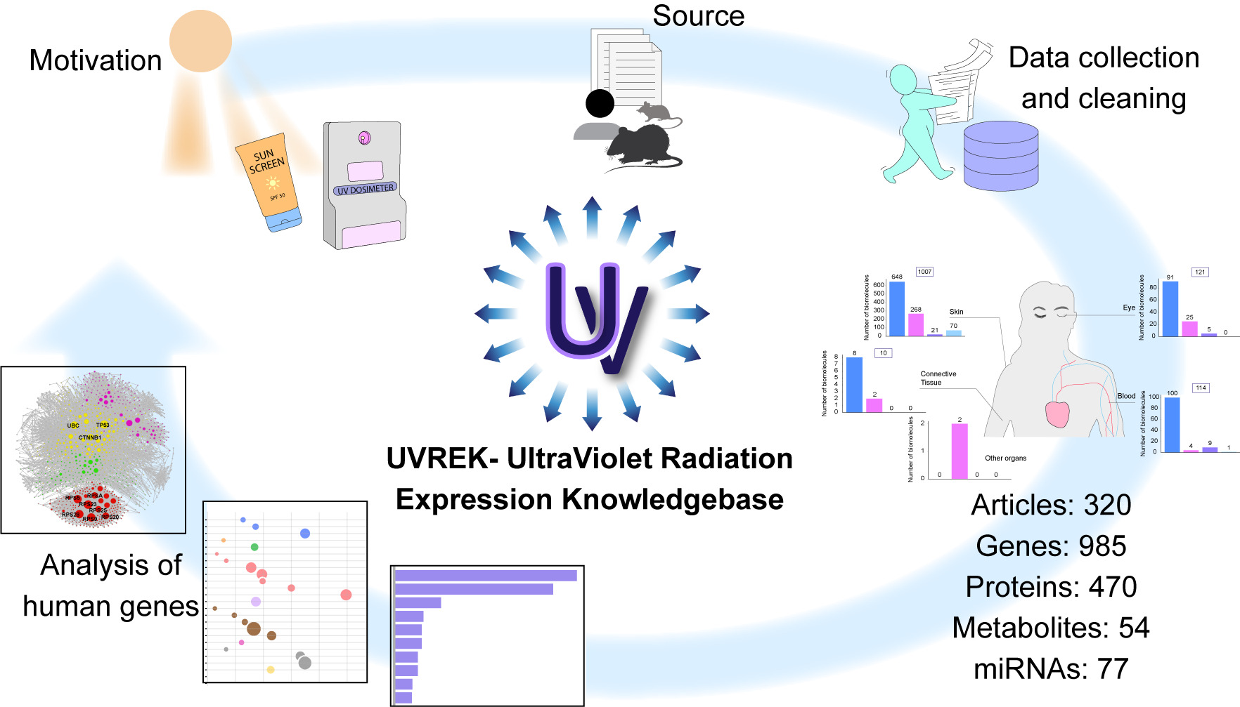 Shining light on the potential biomarkers of UV exposure