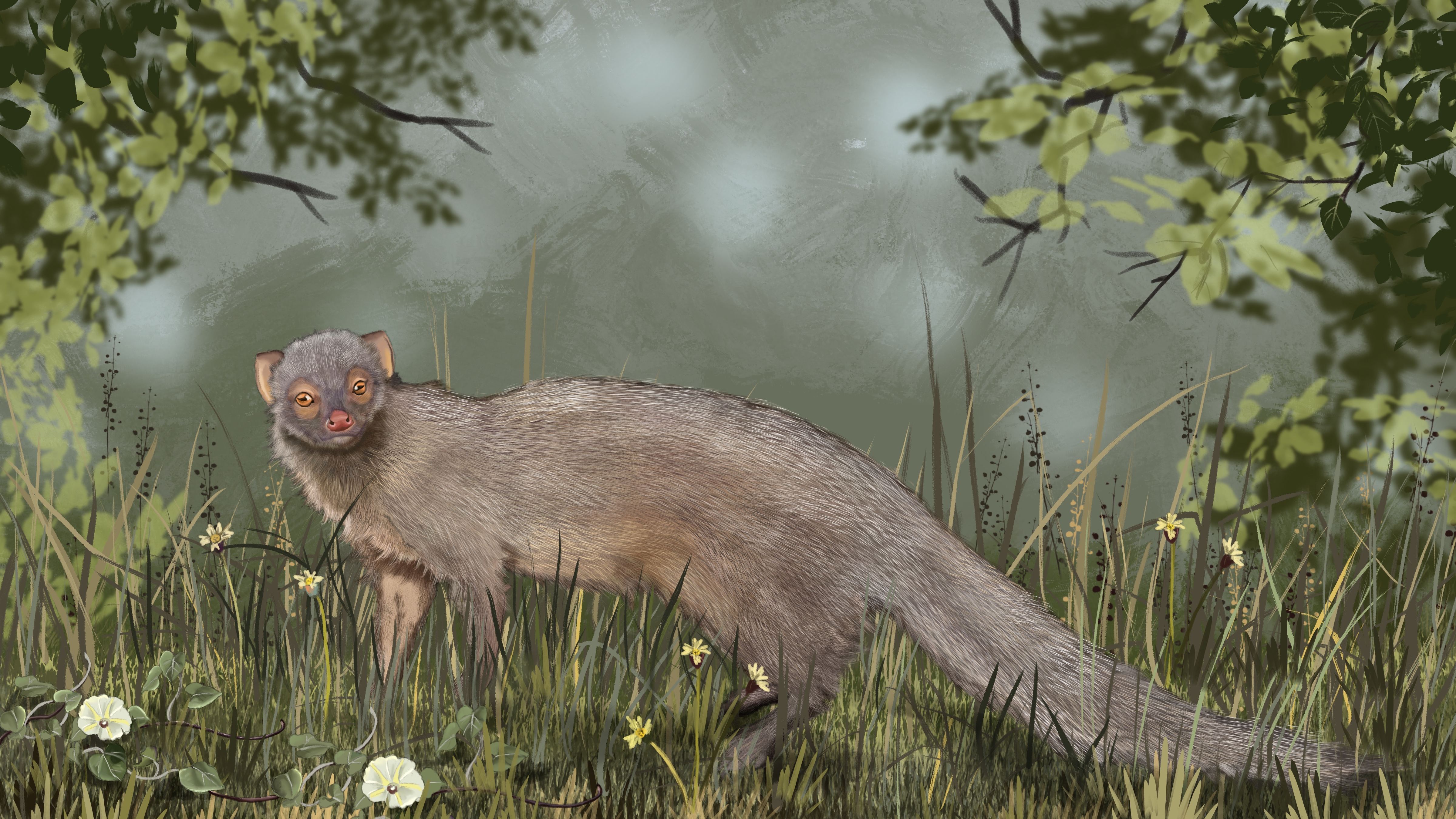 Header image for the latest newsletter