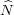 N^