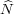 N^