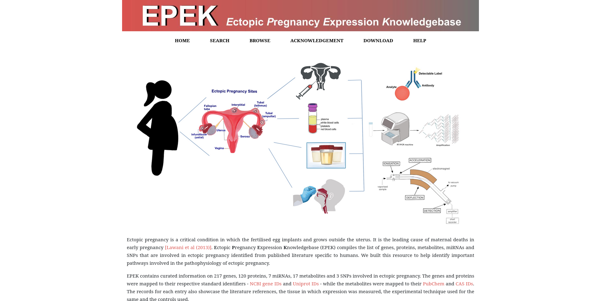 EPEK Image