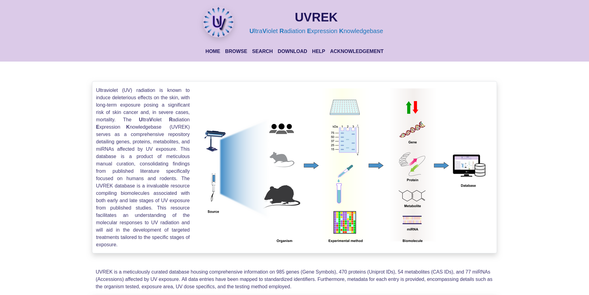 uvrek Image