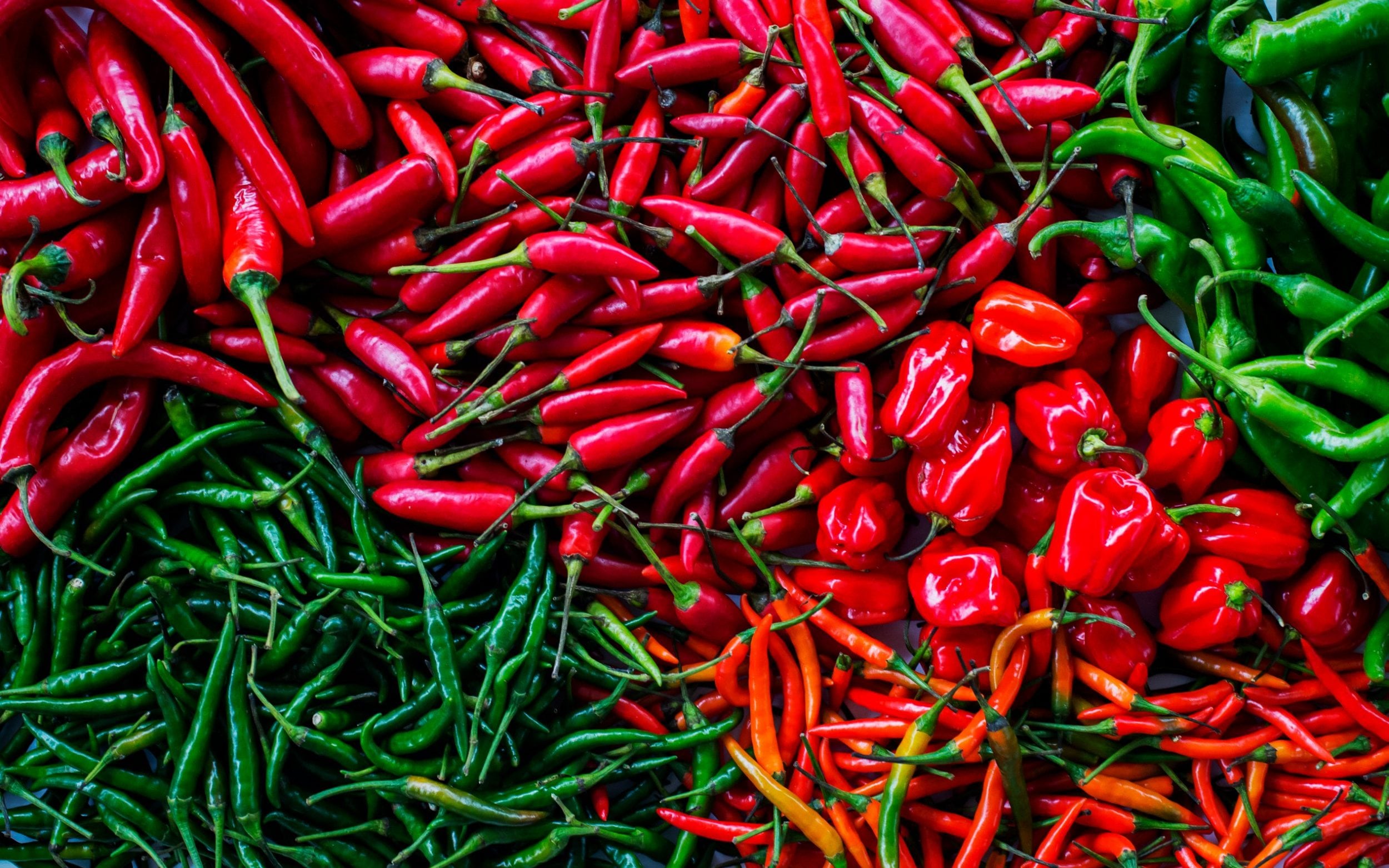 Chilli pepper. Перец Чили Мексика. Перец Чили красный. Perets Чили. Перец Чили большой.