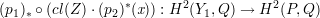                  *       2            2
(p1)* ∘ (cl(Z) ⋅(p2)(x)) : H (Y1,Q ) → H (P, Q)
