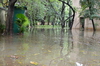 IMSc Rain Days