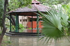 IMSc Rain Days