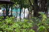 IMSc Rain Days