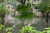 IMSc Rain Days