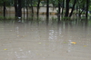 IMSc Rain Days