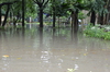 IMSc Rain Days