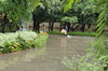 IMSc Rain Days
