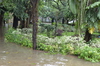 IMSc Rain Days