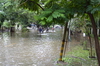 IMSc Rain Days