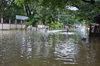 IMSc Rain Days