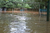 IMSc Rain Days