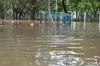 IMSc Rain Days