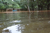 IMSc Rain Days