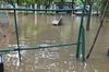 IMSc Rain Days