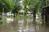 IMSc Rain Days