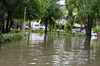 IMSc Rain Days