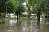 IMSc Rain Days