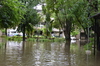 IMSc Rain Days