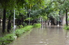 IMSc Rain Days