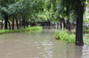 IMSc Rain Days