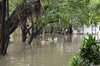 IMSc Rain Days