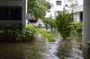 IMSc Rain Days