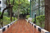 IMSc Rain Days