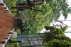 IMSc Rain Days