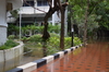 IMSc Rain Days