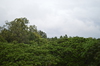 IMSc Rain Days