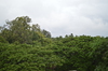 IMSc Rain Days