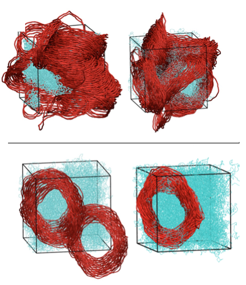 Topological Glasses