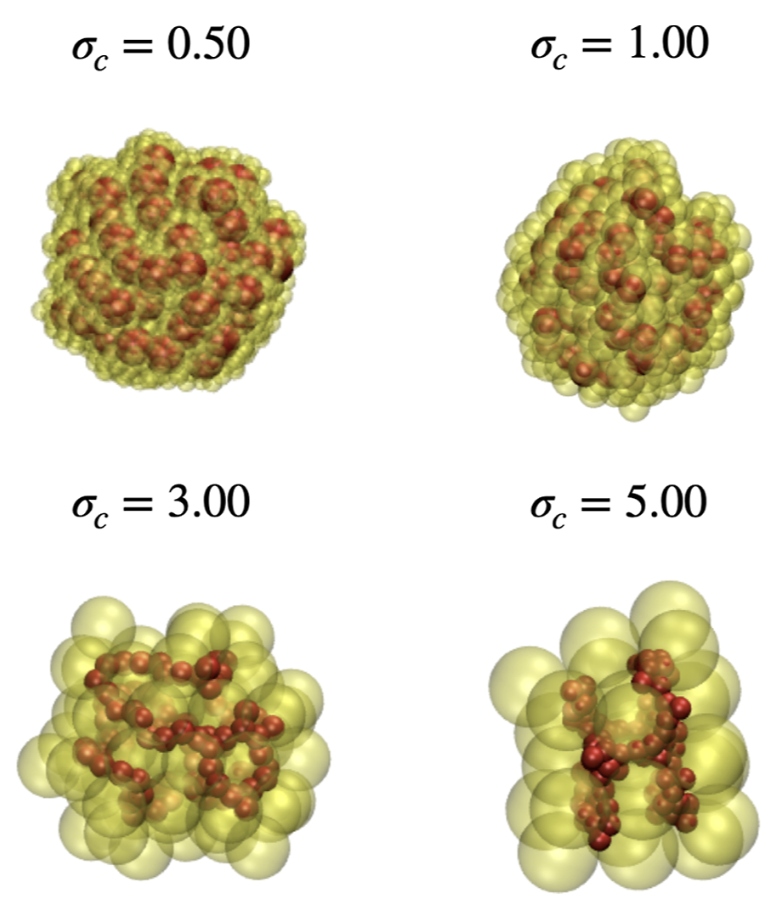 Neutralpolymer in crowded environments